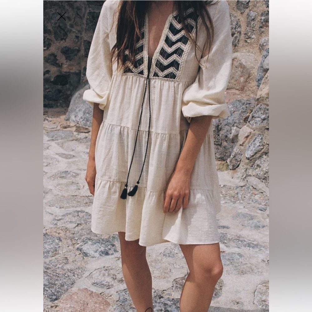 Zara Embroidered Panel Mini dress